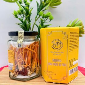 Nhộng Đông Trùng Hạ Thảo – HP Long An